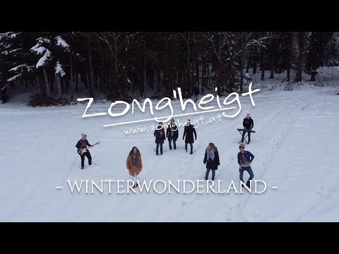Winterwonderland (Cover) | Zomg'heigt | Weihnachtsspecial 2021