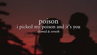 rita ora - poison (tiktok remix) slowed &amp; reverb // lyrics | i picked my poison and it&#39;s you