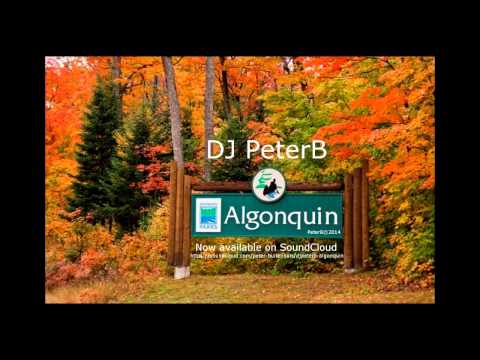 DJ PeterB - Algonquin [Original Mix]