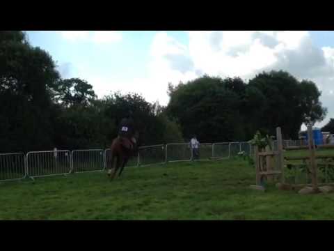 Cuddy @ Garstang show 2016