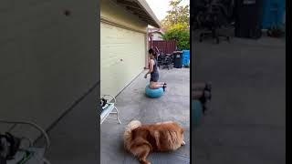 Training while Quarantined