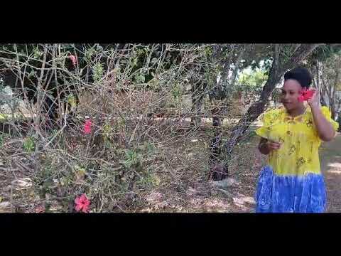 Ji Memea _-_ Tablelands LSB 2k22 ( W!lZ RecordZ)