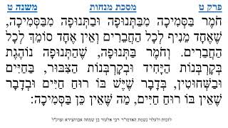 מסכת מנחות פרק ט משנה ט