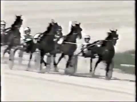 1991 Flamboro Downs ARCANE HANOVER Confederation Cup Norm McKnight Jr