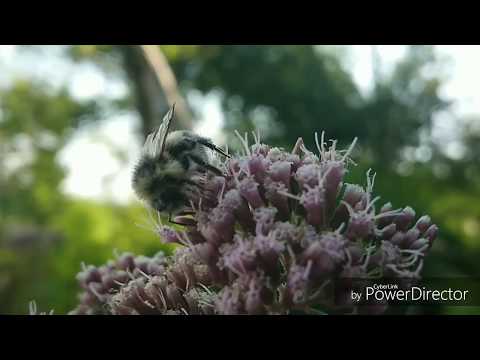 epic slow motion compilation (960fps)