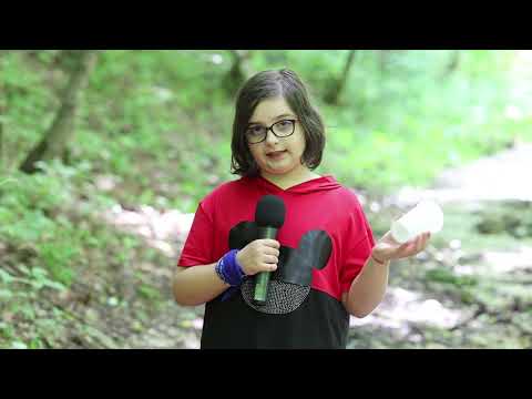 În cât timp se descompun deșeurile - Cristina Ghita