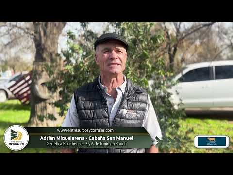 Adrán Miquelarena - Cabaña San Manuel - Genética Rauchense el 5 y 6 de Junio en Rauch,  Bs.As.