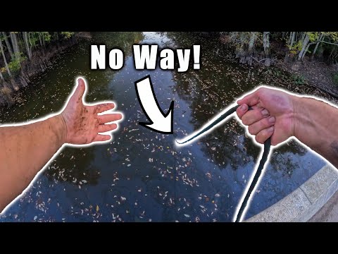 Magnet Fishing Treasure Hunt - Searching For Lost Treasure With A Giant Magnet