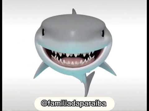 cuidado tubarão 🦈 vai te pegar tik tok