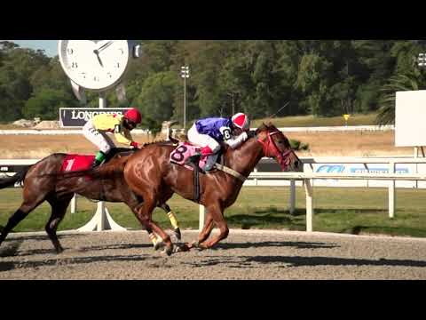 201208 c06 BENALMADENA