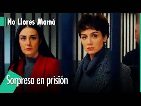 Se sorprenden de verlo encerrado - No Llores Mamá