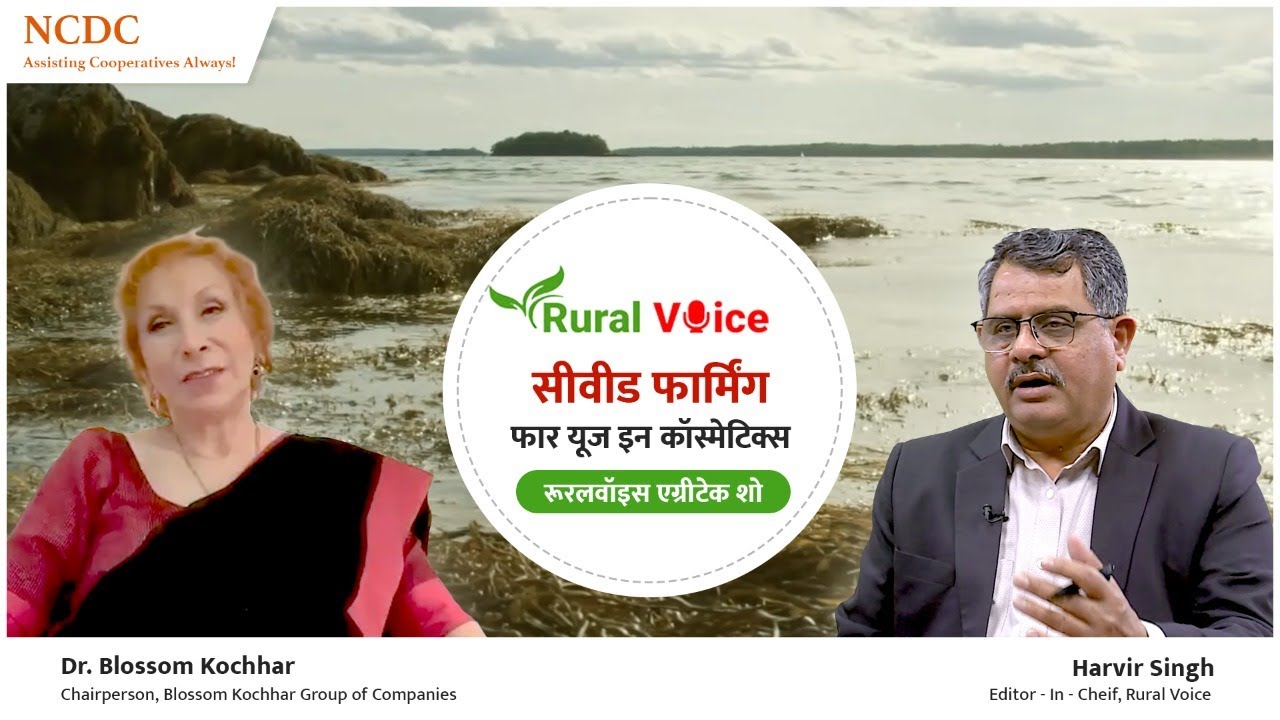 रूरल वॉयस विशेषः सेहत और सुंदरता दोनों में काम आने वाले सीवीड की खेती दे सकती है अच्छा मुनाफा