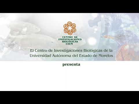 Ángel Javier España Báez,  El rastreo como herramienta científica para el estudio del lobo ibérico