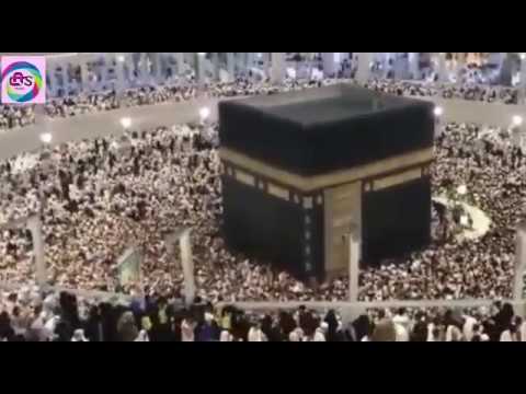 download lagu mp3 mp4 Labbaik Meaning In Urdu Translation, download lagu Labbaik Meaning In Urdu Translation gratis, unduh video klip Labbaik Meaning In Urdu Translation