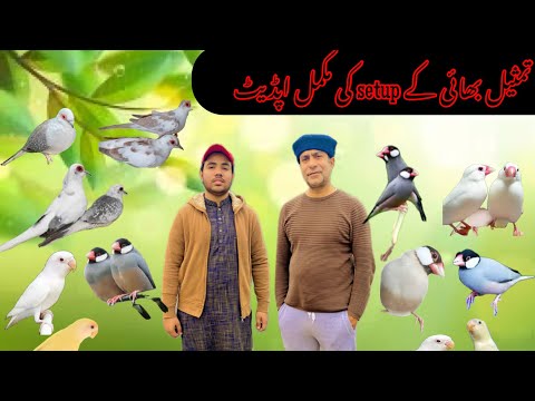 Tamseel bhi kay setup ki fully update