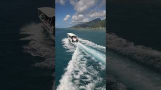 Kayaking through Moorea French Polynesia