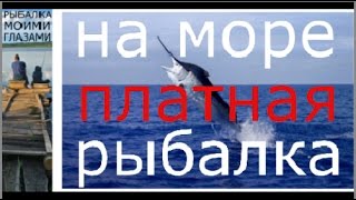 Морская рыбалка геленджик