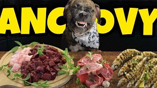 Insane Crunchy Dog Mukbang 🤯 | Real Sounds of Raw Meat &amp; Fish ASMR