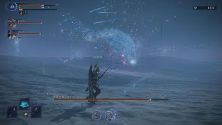 ELDEN RING NIGHTREIGN_兆し、後ミリだった