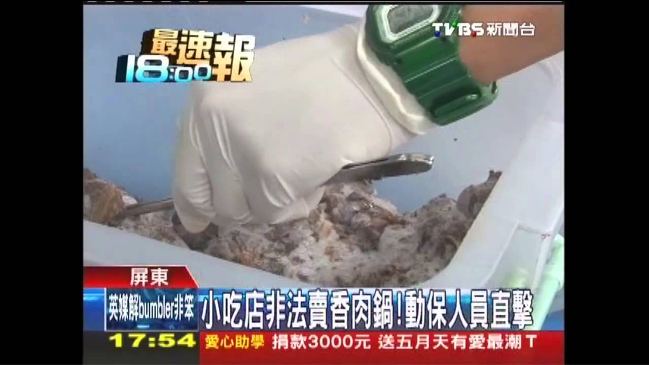小吃店非法賣香肉鍋! 動保人員直擊