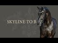 Skyline To B 2023