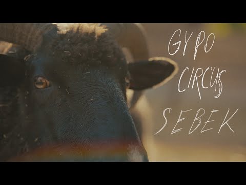 Gypo Circus - Sebek (Official Music Video)