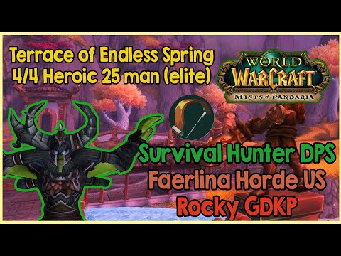 Terrace of Endless Spring 25 4/4 Heroic (elite) - Week 1 - Survival Hunter (orb thrower)