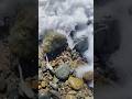 Ocean waves,wet rocks!part 310 #night#rocks#sea#rocas#beach#oceanwaves#oceansounds#ocean#sunset#dusk