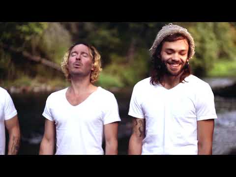 Wouldn't You Know - The pine hearts