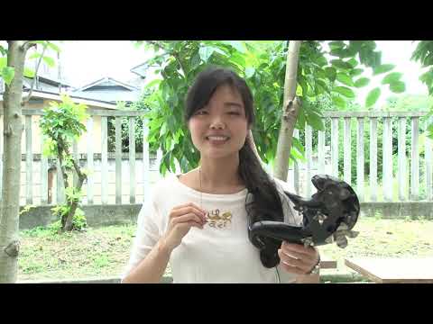 学科紹介！共同教育学部美術分野