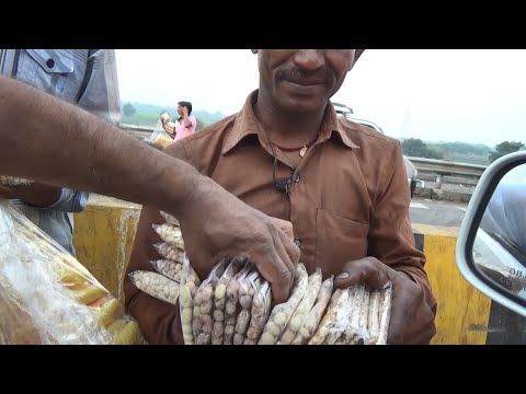 Buying Famous Bharuch Salted Peanuts (Khari Sing) + Inside Jalaram Indian Peanut Factory in Bardoli.