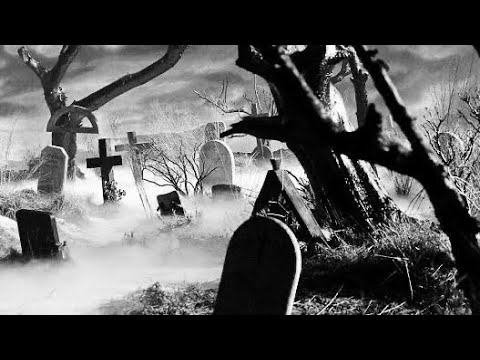 PLECTRUM - prod. Shadyhelios x Dafly (Official video)