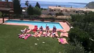 Summer Days - John McEwan-Whyte