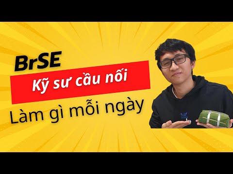 What is the job of BrSE? | MySempai