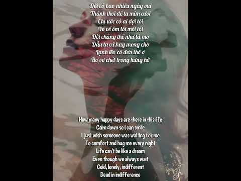 Đời Có Bao Nhiêu Ngày Vui- Lyrics, (Engsub)