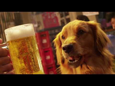 Dog Tennis Beer na Beer
