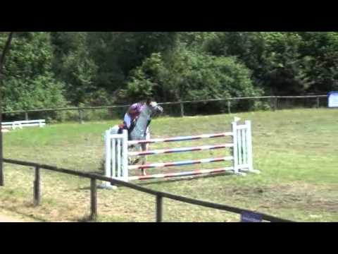 Sportpferde ASG - Horse Gym's Fire Lady Punkte SPR M*  2. Platz   Altenmünster 2013