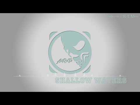 Shallow Waters by Daniel Gunnarsson - [Acoustic Group Music]