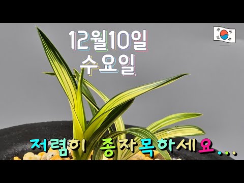 유튜브 썸네일