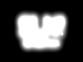 SLN Logo