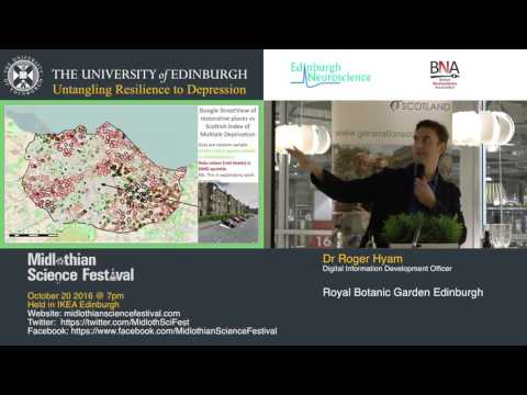 Untangling Resilience to Depression 4: Environment & Mental Wellbeing