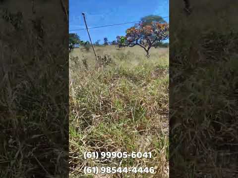 🚨 EXCELENTE FAZENDA À VENDA EM PADRE BERNARDO – GOIÁS 🚨