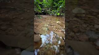 Relaxe em 1 minuto com Som de Água Corrente! Coloque o fone. #somdenatureza