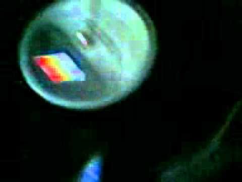 download lagu mp3 mp4 Fancy Lady Of Ice 7 Inch Vinyl, download mp3 Fancy Lady Of Ice 7 Inch Vinyl free download, download mp3 Fancy Lady Of Ice 7 Inch Vinyl
