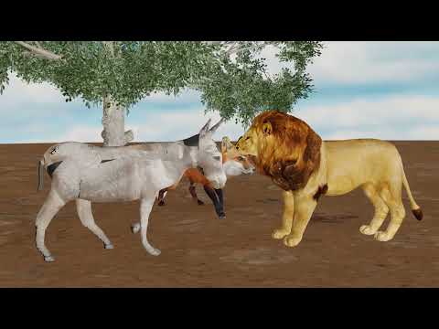 libaax iyo daqonimadii dameer   damac badan waa uu kudilaa