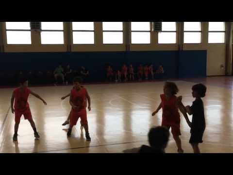 sanga tigers vs tummenilli