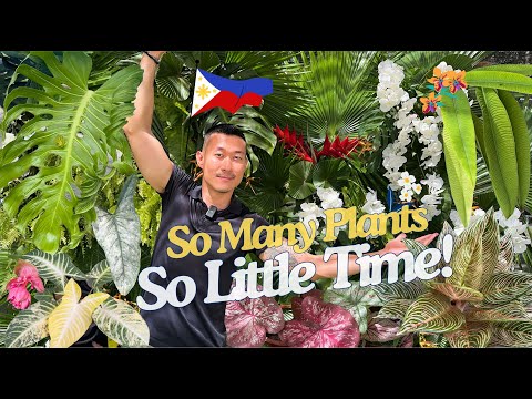 From Exotic Trends to Common Favorites! HUNDREDS Of Gorgeous Garden and Houseplants in Mindanao 🇵🇭