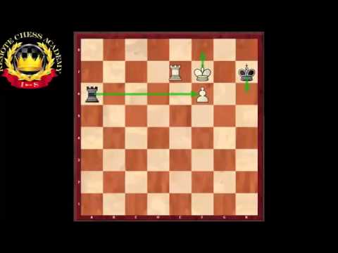 Intuitional rook endgames by GM Mikhailo Oleksienkoto