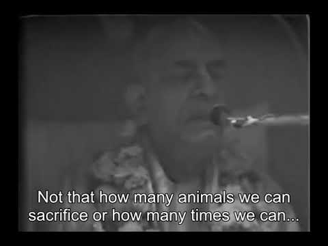 Prabhupada 0985 - Human Form of Life is Especially Meant for Inquiring About the Absolute Truth