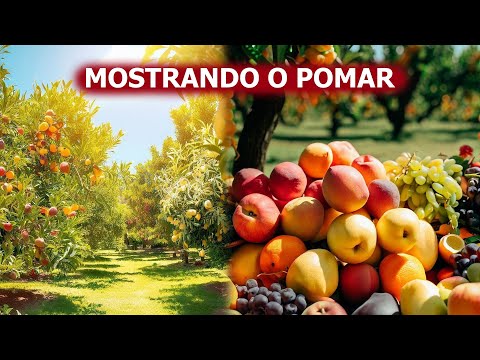 Pomar de frutas: um guia completo para iniciantes